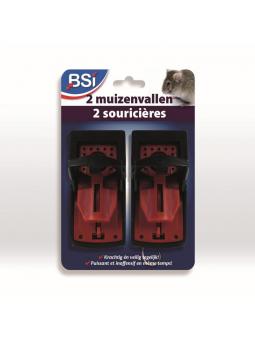 BSI Multi-Muizenval | 1 st.